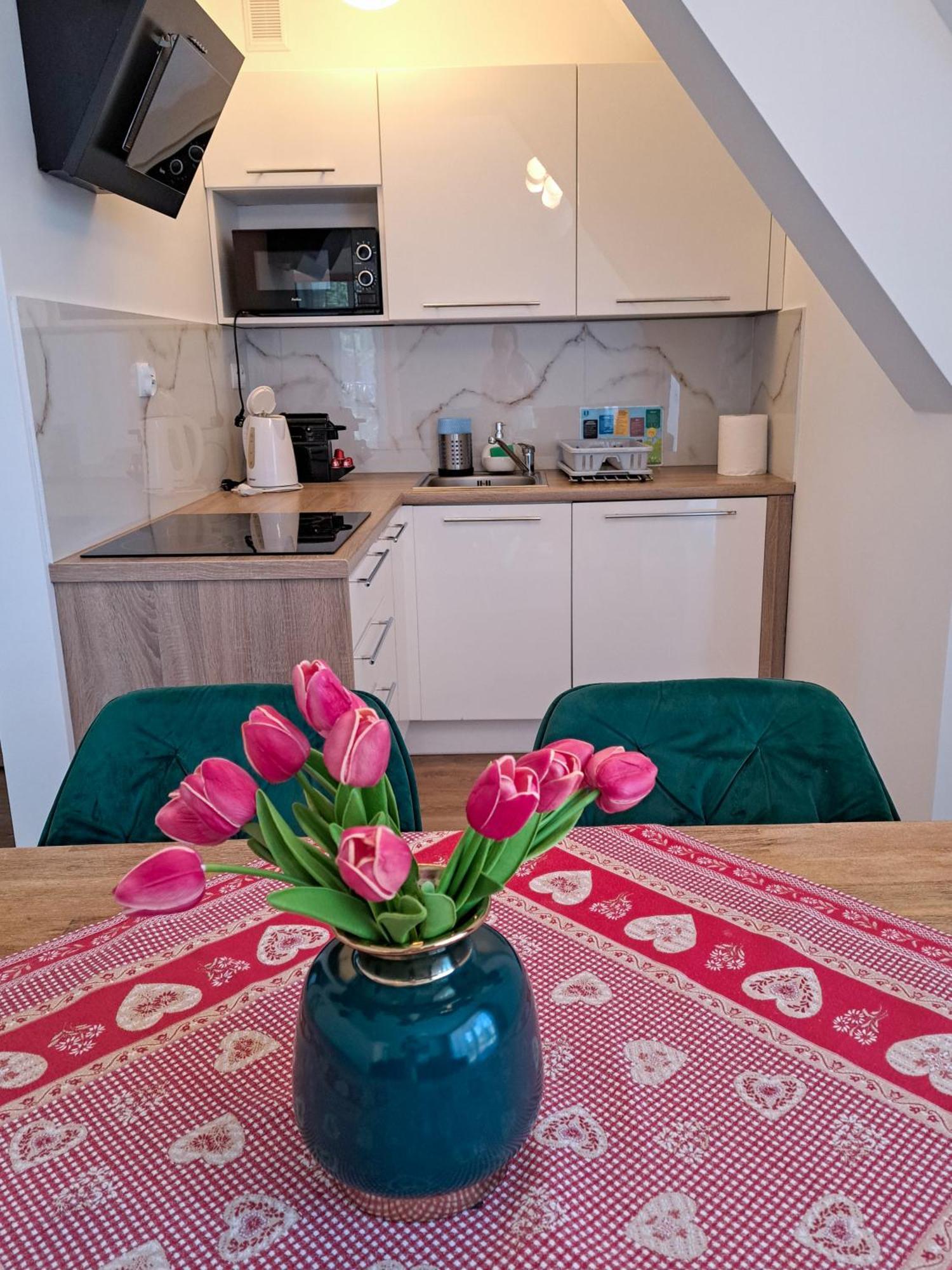 Apartment Bory6a & Free Parking Zakopane